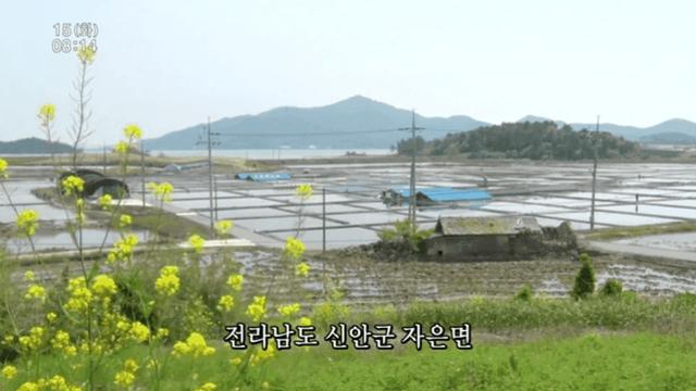 인간극장 신안편