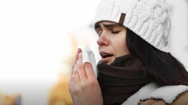 '피로야 가라' 겨울철 건강 비법: 면역력 높이는 필수 식단 A to Z… 비타민 C·D, 아연을 채워라