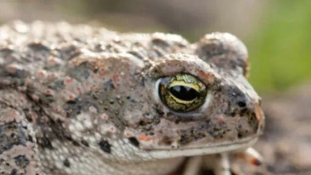 어느 트위터리안이 느낀 공포.jpg