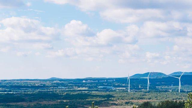 제주도 사진 마음에 든다