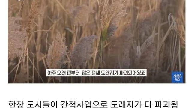 도시 개발을 반대한 결과.jpg