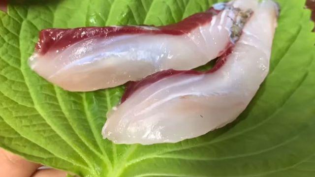 평소엔 별 볼 일 없는데…한겨울에는 고급어종 뺨치는 맛이라는 초가성비 '생선회'