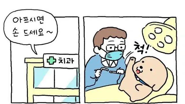 개는 손이 없습니다?,,