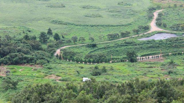대박났다, 국내 섬에서 미기록종 곤충 우르르 발견…정체 '충격'