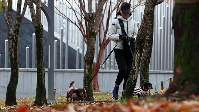 [날씨] 잎새 떨어지는 늦가을, 수도권·강원에 가을비