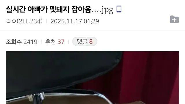 아빠가 멧돼지 잡아옴...