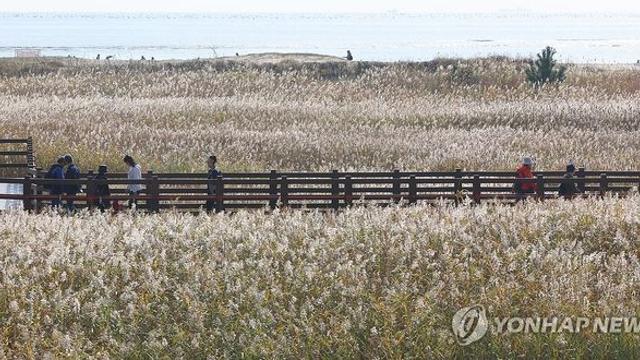 부산·울산·경남 구름 많음…낮 최고 18∼20도
