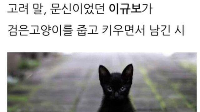 고려시대 털바퀴줍기 후기