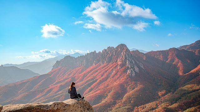 등산 초보도 1시간 만에 도착…요즘 SNS 난리 난 ‘국내 일출 명소’