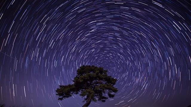 2026년 대박띠는