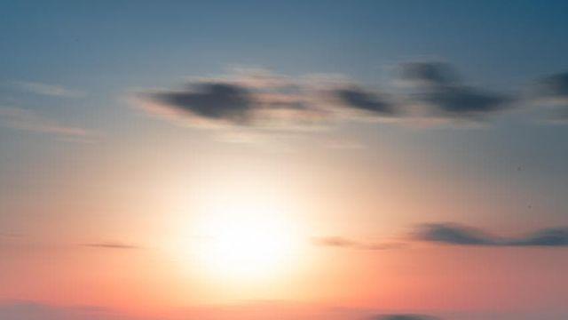 카메라 산지 1년 된 기념 사진 결산