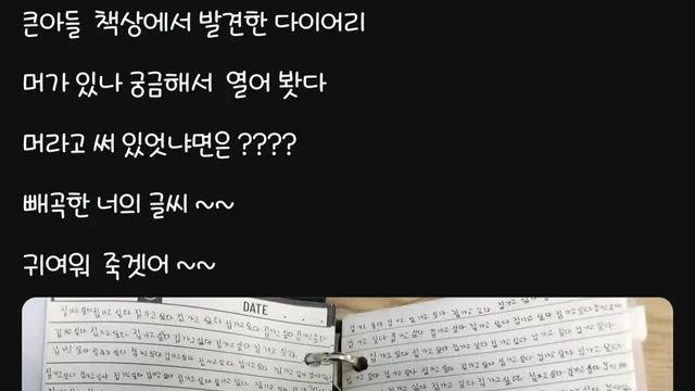 엄마가 귀엽다고 올린 아들 다이어리 내용