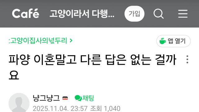 고양이 때문에 이혼하는 한녀