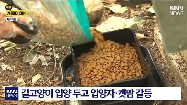 길고양이를 입양한 여성의 최후