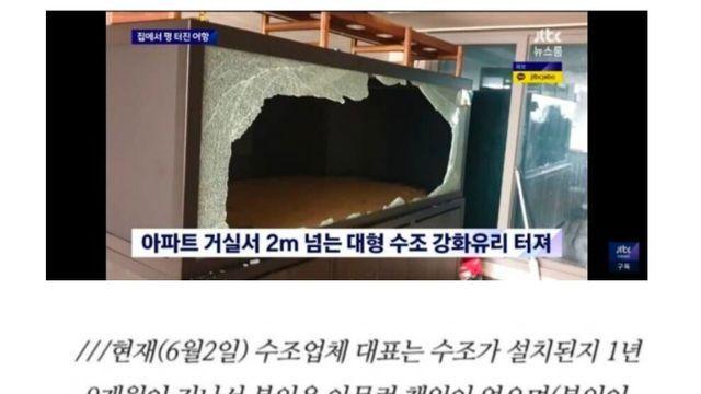 2023년 집에서 800리터 터진 어항 사건 결말