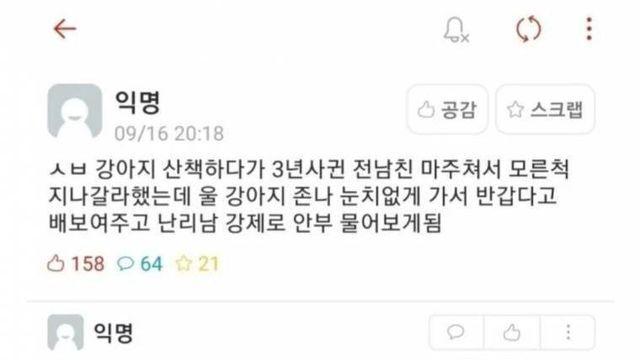 강아지 산책시키다 당혹스러움