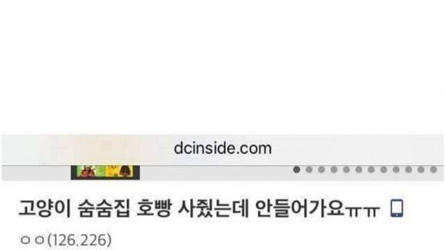 내 맘대로 안되는 냥이.