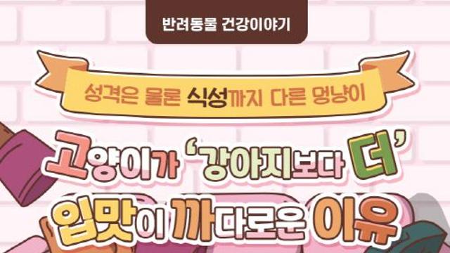 [반려동물 건강이야기] 고양이가 '강아지보다 더' 입맛이 까다로운 이유