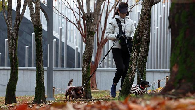 [내일날씨] 수도권·강원 곳곳 빗방울…낮 최고 14∼19도