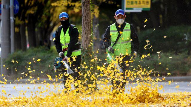 전국 흐리고 비 소식…