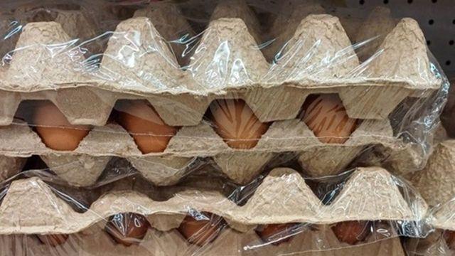 '난각번호 4번은 정말 피해야만 걸까..?' 양계 전문가 공식 발표, 좋은 계란 구별하는 '진짜 방법'