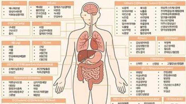 네이버 검색창에 질병명 치면 환자수·진료비 한눈에