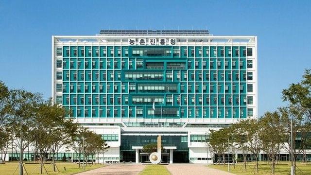 검정보리 '흑호'로 고기능성 맥아차 제조…농진청, 특허·기술이전 완료