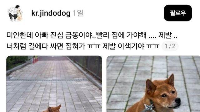 산책 중 급똥 터진 견주