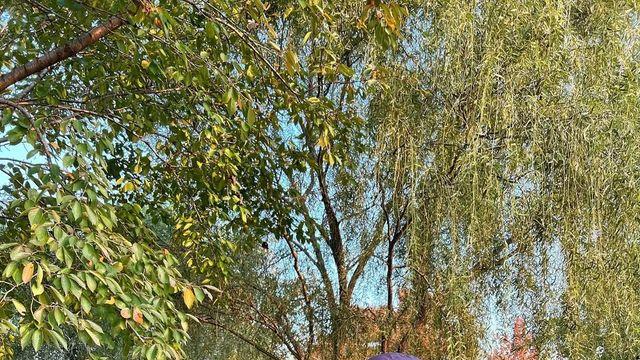 따뜻함은 기본, 가벼움은 덤! 지금 입기 딱 좋은 경량 패딩 스타일링 5