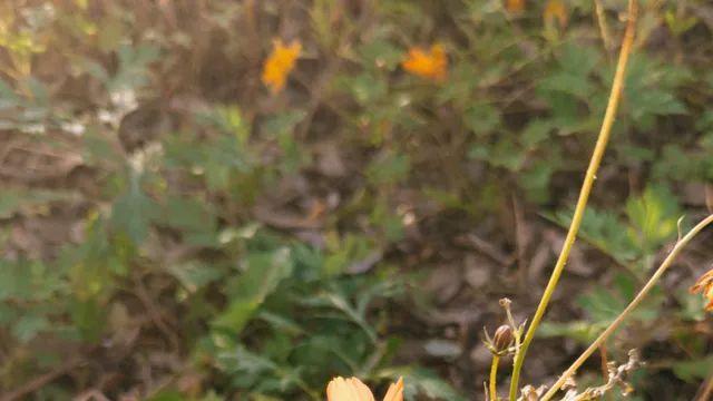 11월 갤 이용권,,,, 입니다,,,