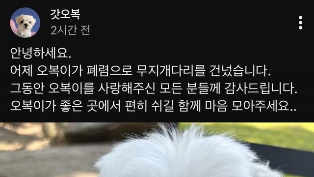 누나가 뺏어먹야지 영상으로 유명한 오복이 슬픈 소식