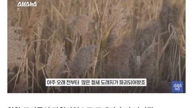 한국판 동물의 숲으로 불리는 도시