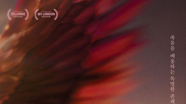 ‘에에올’ 배급사 A24 제작 영화 ‘튜즈데이’, 내년 1월 개봉 확정