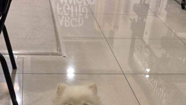 애카 다녀왔어요