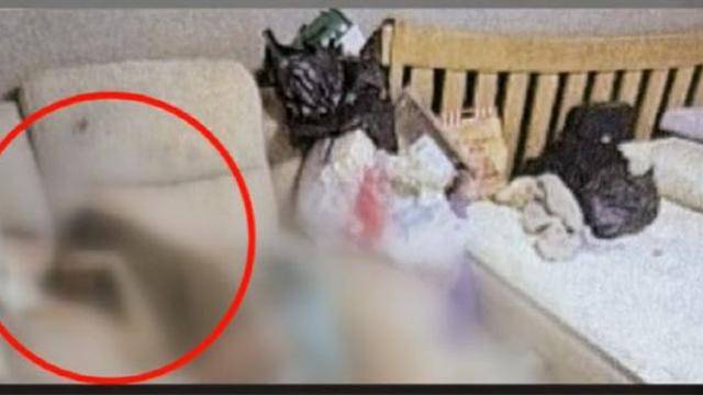 '구더기 아내' 발견 당시 상황 공개...