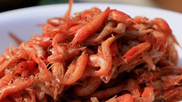 한국기행 발효식탁 1부 가문의 밥도둑