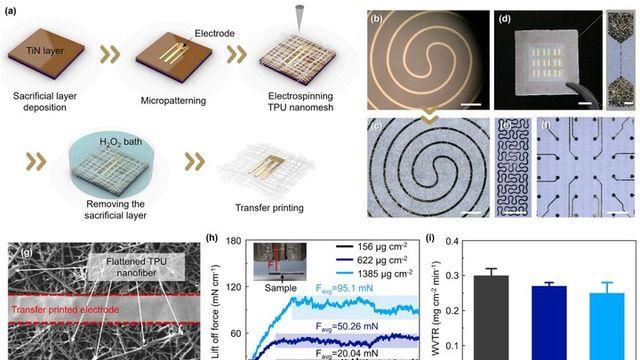 DGIST, 통기성 ‘전자피부’ 구현 초박막 나노메쉬 전극 개발 성공