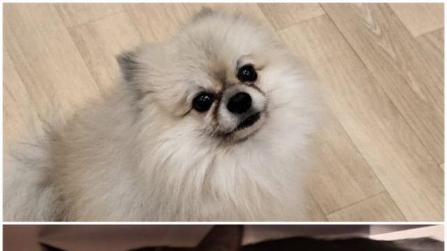 극 E와 극 I 에요. ????????⬛