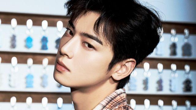 차은우, 군백기 타격 無…솔로 앨범 ‘ELSE’ 11개국 1위