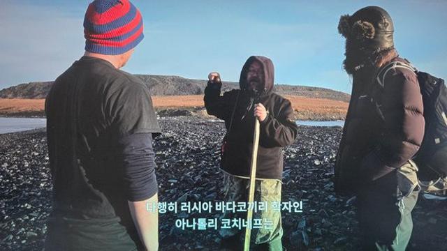 의외로 북극곰 만났을 때 살 수 있는 간단한 방법