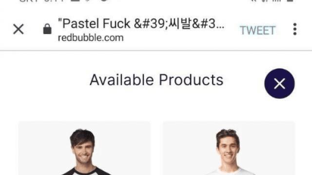 뭔가 이상한 한류 열풍