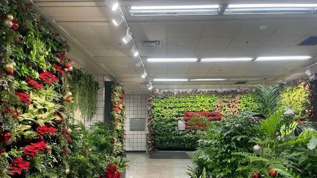 용산구, 삼각지역·녹사평역 ‘서울 아래숲길’ 크리스마스 맞이 새 단장