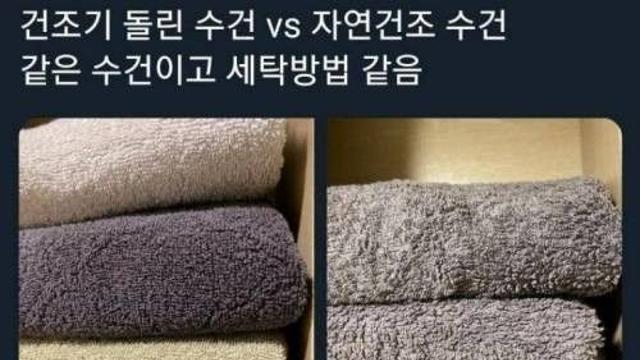 생각보다 건조기에 돌린 수건보다 좋아하는 사람이 많은 것
