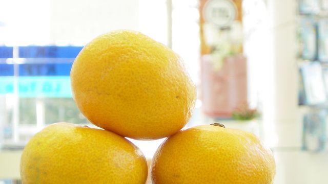 ‘귤 폭식’ 주의보! 겨울철 비타민 창고 ‘귤’의 명과 암