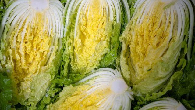 김장하고 남은 배추 겉잎 버리지마세요…이렇게 하면 만능 밥도둑입니다