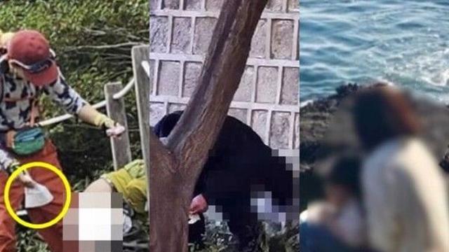 싸고 또 싸고…잇따른 중국인 배변 테러에 관광지 몸살