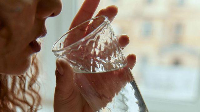 블프 기간 맞이 다이어트 보조제 추천 7