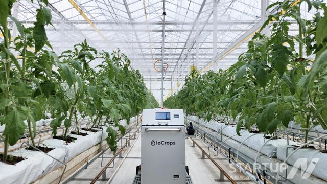 첨단 온실의 '필수 기술', 아이오크롭스 '2026년형 방제기' 공개... 농가 인력난·비용절감 '두 마리 토끼' 잡을까?