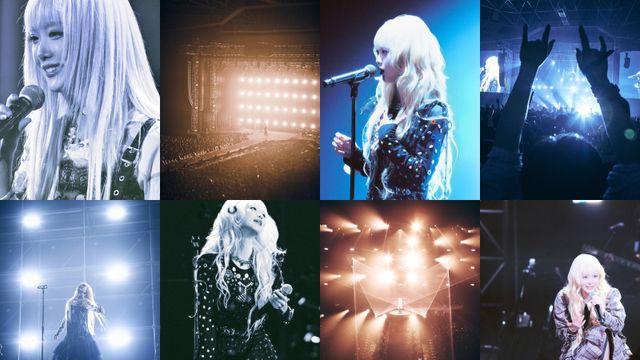 한로로, 이틀간 화정체육관 1만석 단독 콘서트 성료