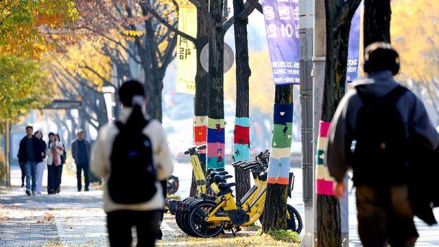 포근한 늦가을, 내일까지…전국에 비 소식[내일날씨]